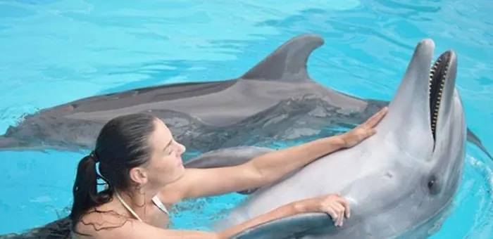 Appartement красивая в центре одессы с балконом *